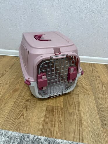 собака бу купить: Təzədən seçilmir
Çünki istifadə olunmayıb
Təcili satılır — 1