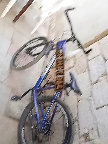 volta vsx: Dağ velosipedi – “Champion” rimləri ilə - Korpus: yüngül — 3
