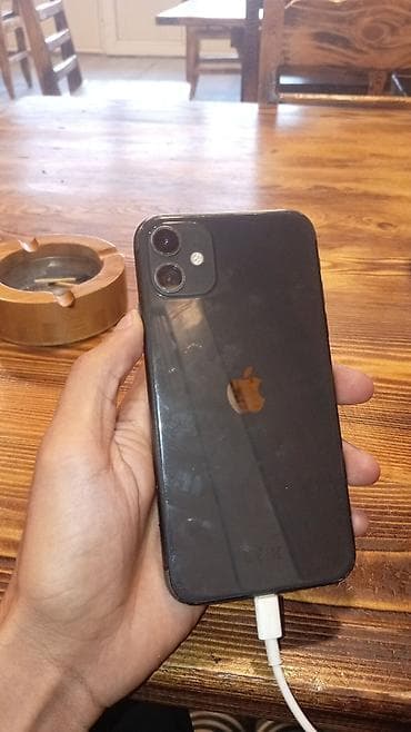 IPhone 11, Qara