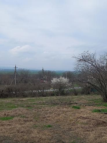 razin torpaq satilir: 15 sot, Tikinti, Mülkiyyətçi, Kupça (Çıxarış) — 5