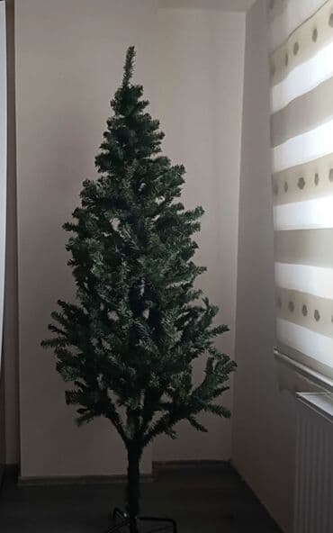 210 sm Yolka Yeni il şam ağacı Bayram ab-havası yaratmaq üçün tam