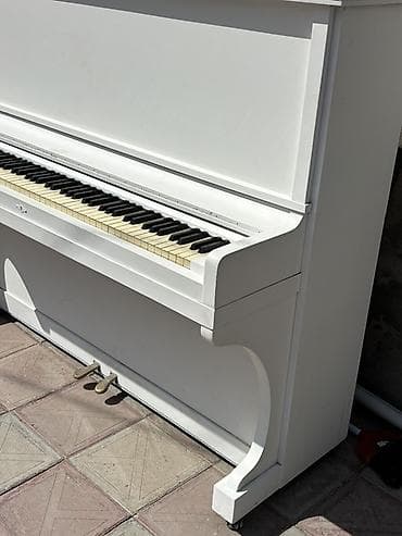studiya mikrafonu: Ağ rəngli akustik upright pianino - Klassik vertikal korpus, sadə və — 1