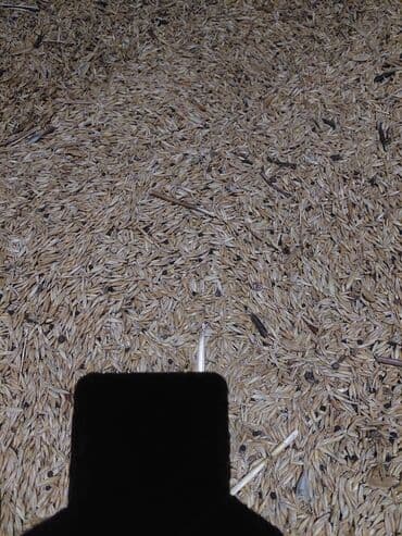 Bitkilər: Məhsul: Düyü qabığı (qabıq/çıxıntı – rice husk) velenvir Təsvir: - — 1