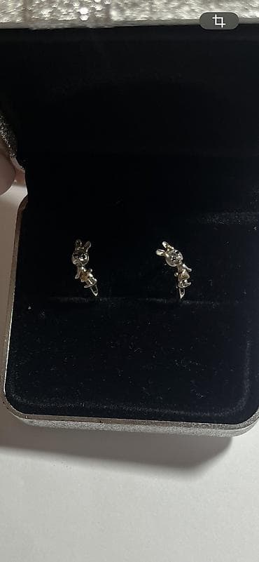 sirqalar: Sırğa, Gümüş, Ünvandan götürmə — 3