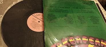 ereb dili tercume: Vinil plastinkalar satılır — 8