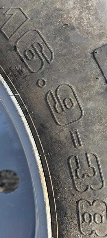 te 25 traktor: 89 zun arxa tekerleridi 80 faiz şpornan cütü 700 manat — 4