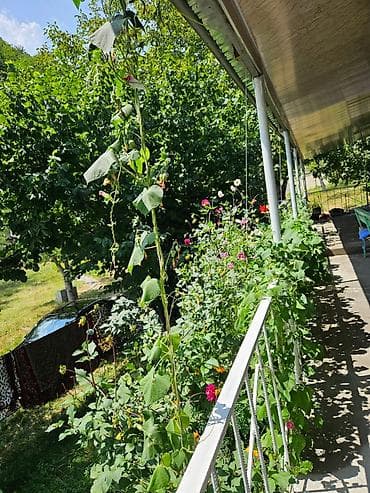 аренда дачи в говсанах: 100 м², 3 комнаты, Без бассейна, Водопровод — 2