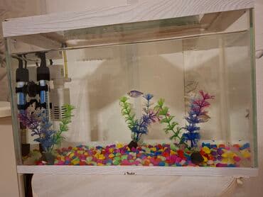 hava matoru: Akvaryum komplekti - Şüşə akvaryum, üst və alt dekorativ ağ — 1