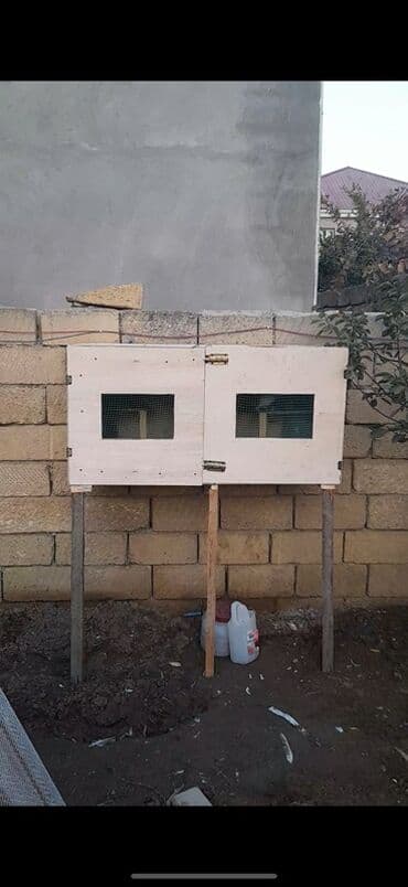 goyercin damı: Bu taxta göyərçin yuvası iki hissədən ibarətdir və hər bir bölmədə — 1