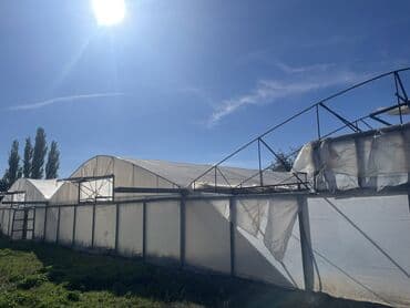 moyka arendaya verilir 2023: İstixana satılır 12 sotdur — 5