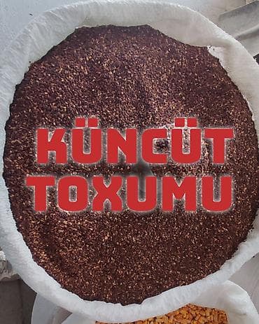 TƏBİİ QARA KÜNCÜT SATILIR – YÜKSƏK KEYFİYYƏT Satışda 100% təbii və