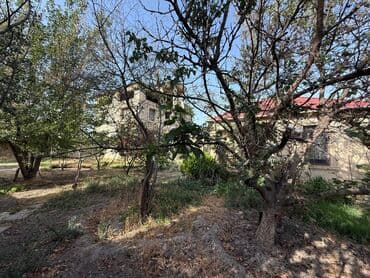 aafda kiraye evler: 6 otaqlı, 460 kv. m, Kredit yoxdur, Təmirsiz — 10