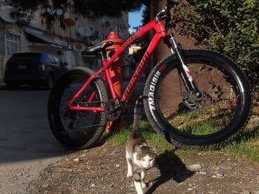 сколько стоит велосипед скоростной: Фэтбайк 26" — 7