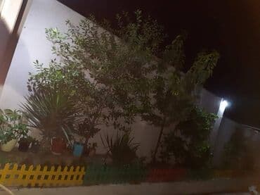 аренда дачи посуточно: Пос. Паршаги, 120 м², 3 комнаты, Без бассейна, Газ, Водопровод — 15