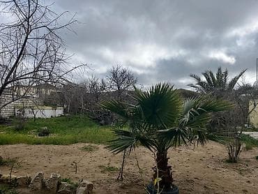 4 sot, Tikinti, Mülkiyyətçi, Kupça (Çıxarış)