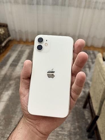 IPhone 11, Ağ