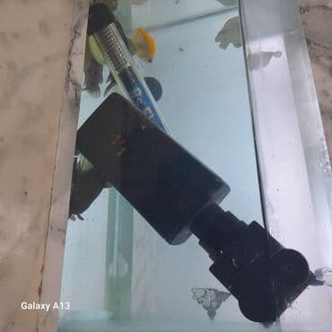 betta balıq: Akvaryum seti - Şüşə akvarium (şəffaf, dikdörtgen formalı) – yan — 2