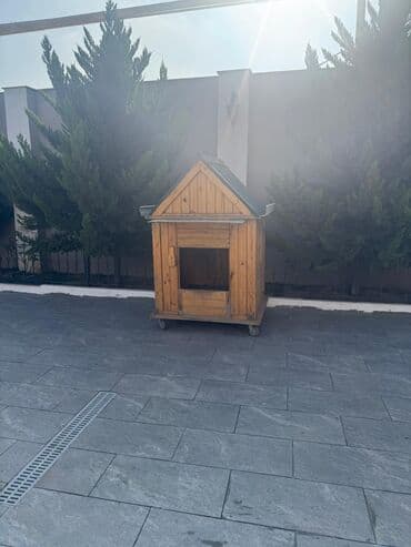 göyərçin yuvası: Taxta it evi – mobil, dam örtüklütəkərli - Material: təbii ağac — 4