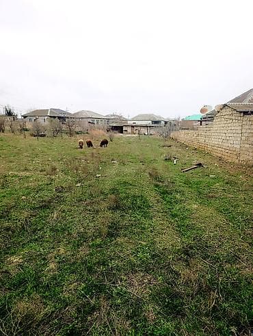 qusar tap az: 4 sot, Tikinti, Mülkiyyətçi, Kupça (Çıxarış) — 1