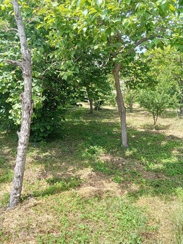 xirdalanda kiraye evler kristal abseron: 20 kv. m, 3 otaqlı — 2