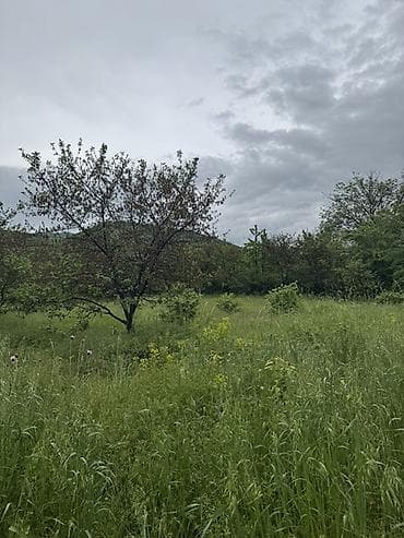 bine qesebesi torpaq: Kənd təsərrüfatı — 7