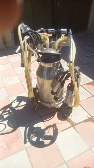 süd sağan maşın: Tək bidon, Paslanmaz bidon — 3