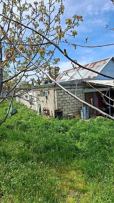 torpaq sekide: 10 sot, Kənd təsərrüfatı, Mülkiyyətçi, Bələdiyyə — 6