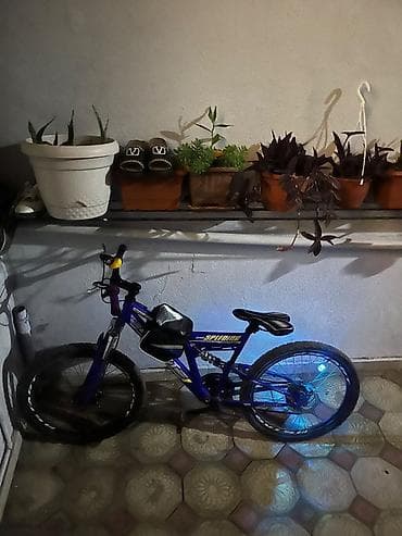 Спортивные велосипеды: Məhsul: dağ velosipedi – SPEEDBIKES SPIRIT (mavi rəng) Təsvir: - — 5