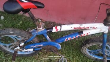 tutacaqlı uctəkərli velosiped: BMX velosipedi 20" — 4
