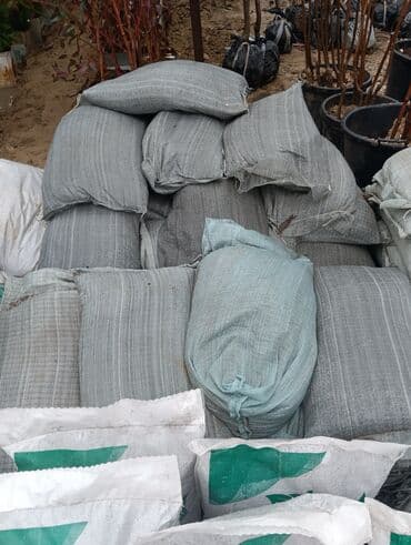 1 eded qizil gul qiymeti: Torf gubresinn satişi torf balaken 2.50 300den cox alana catrlma — 22