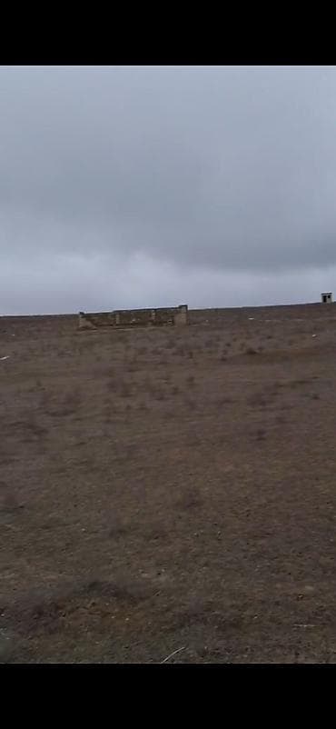 Kənd təsərrüfatı, Barter mümkündür