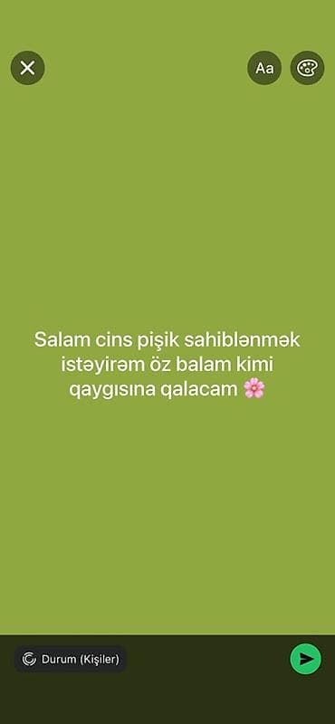 Axtarıram: cins pişik sahiblənmək. Məqsəd: ev şəraitində, ailə üzvü lalafo.az -da Axtarıram: cins pişik sahiblənmək. Məqsəd: ev şəraitində, ailə üzvü