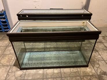 bmw 1 серия 114d mt: Dördbucaq akvarium, Boş, 40 l, Ünvandan götürmə — 3