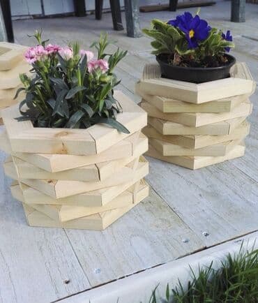 orkide qiyməti: Dibçək və dibçək atlıqlarının sifarişlə hazırlanması Qiymət minimum — 4