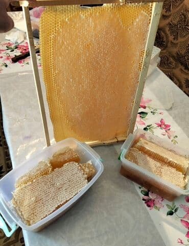 2 yaş tortları: Tebbi şamaxı balı 1 kqsi 35 azn Dağlardan getirilib tebbi çiçək — 4