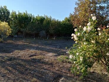 фотостудия советская квартира: Satılır: bağ sahəsi və yaşayış evi - Tikinti: qala-daşı divarlar — 2