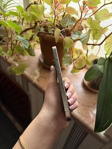 ıphone 12 pro: IPhone 15 Pro, 512 GB, Barmaq izi, Face ID — 3