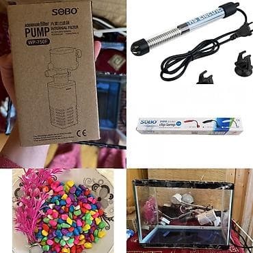 balakən heyvan satisi: Dördbucaq akvarium, Boş, 10 l, Ödənişli çatdırılma — 1