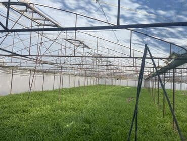 moyka arendaya verilir 2023: İstixana satılır 12 sotdur — 7