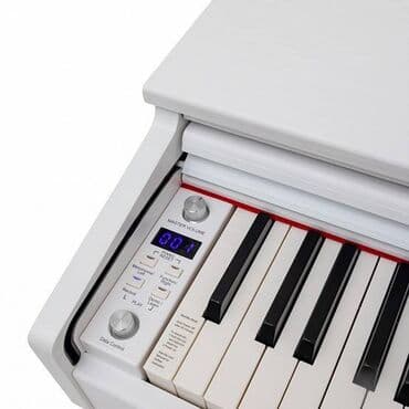 стул для пианино: Piano, Rəqəmsal, Pulsuz çatdırılma, Ödənişli çatdırılma, Rayonlara çatdırılma — 5