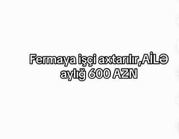 xaricde is elanlari 2024: Evdə hər bir şərait var — 1