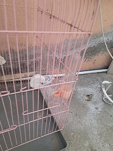 Akvarium aksessuar və ləvazimatları: Qəfəs və aksesuar dəsti – xırda ev quşları üçün - Ölçü: orta həcmli — 8