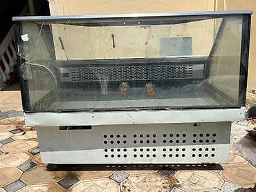 Gence seheri lalafo.az -da Gence seheri