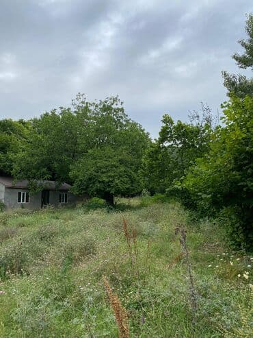 memar ecemi kiraye ev: Tikinti, Mülkiyyətçi — 3