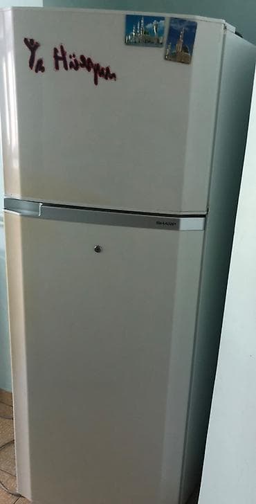SHARP Soyuducu+Morozilnik yüngül təmirə ehtiyyacı var. Qiymət lalafo.az -da SHARP Soyuducu+Morozilnik yüngül təmirə ehtiyyacı var. Qiymət