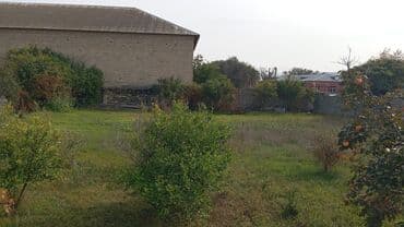 бина аз недвижимость: Tikinti — 5