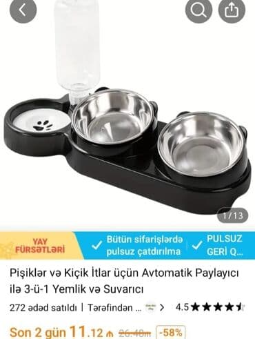 azəri pişik adları: Шиншилла, Самец, Самовывоз, Бесплатная доставка — 5