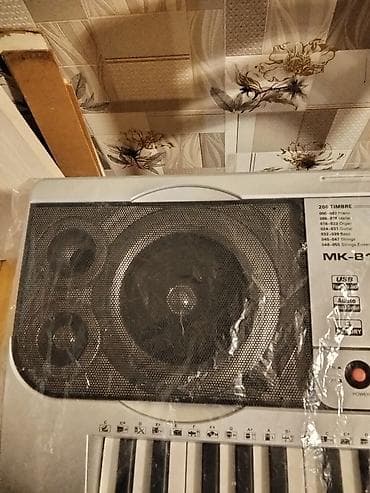 elektron gitara satisi: Sintezator, Vox, Yeni, Ünvandan götürmə, Pulsuz çatdırılma, Rayonlara çatdırılma — 9