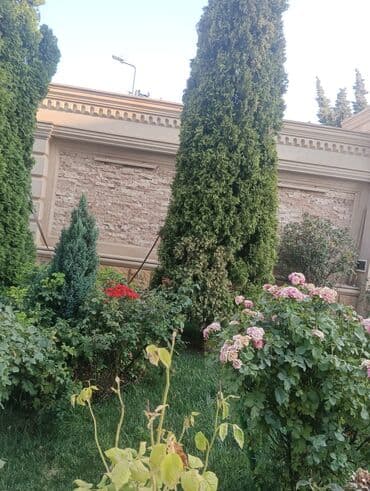 Другие стройуслуги: Bağçalar, villalar və həyətyanı sahələr üçün xüsusi olaraq dizayn — 5