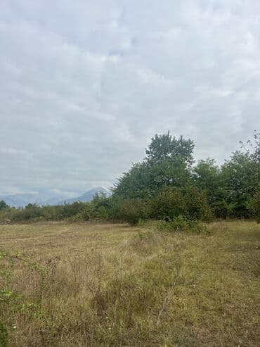 qubada torpaq satilir 2020: 110 sot, Tikinti — 5